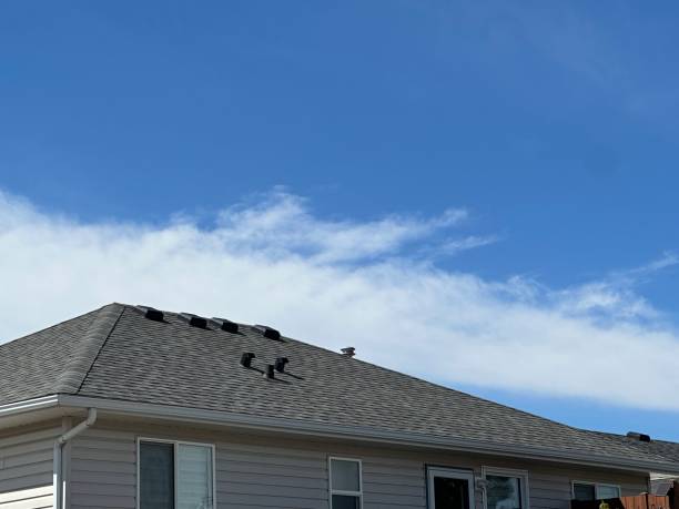 Best Roof Maintenance and Cleaning  in Fords, NJ
